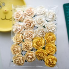 Роза шпалерная, тон желтый, кремовый - 40мм. (20шт.)