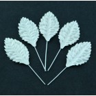 Лист шелковицы белый -40мм (50шт.)