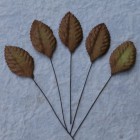 Лист шелковицы коричневый -35мм (100шт.)