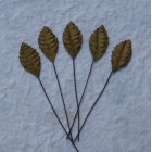 Лист шелковицы коричневый -25мм (100шт.)