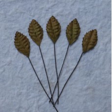 Лист шелковицы коричневый -25мм (100шт.)