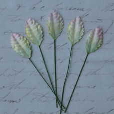 Лист шелковицы бело-зеленый - 25мм (100шт.)