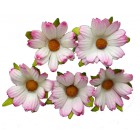 Хризантема, тон белый с розовым - 45мм (50шт.)